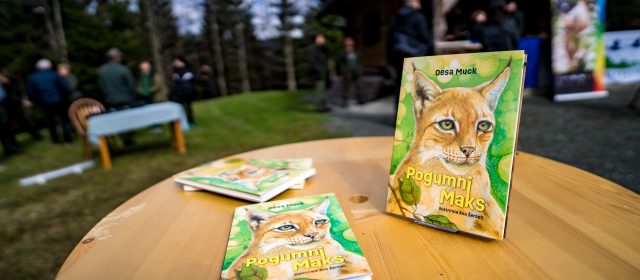 Books about lynx Maks for a brave start of the new school year