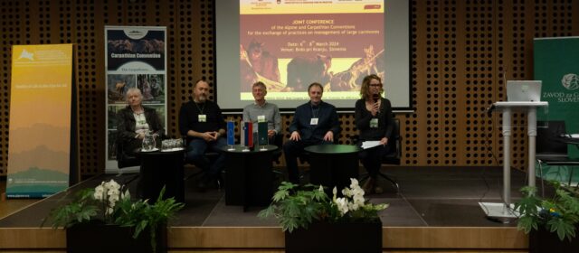Presenting the future of lynx at the first joint conference of the Alpine and the Carpathian convention
