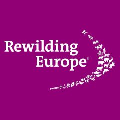 European rewilding network
