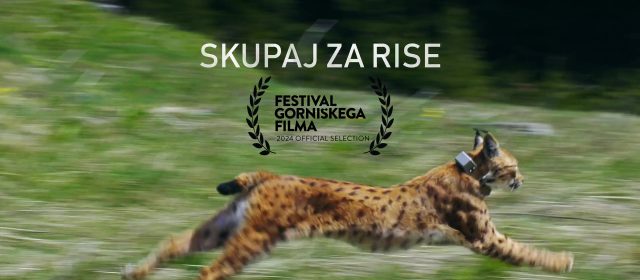 Together for Lynx also at Slovenian Festival gorniškega filma