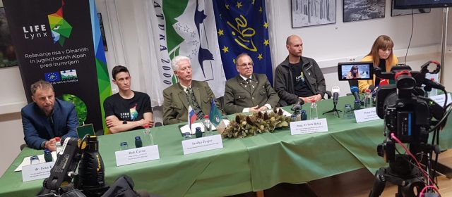 A press conference about the prevention of illegal killing of lynx and other wildlife