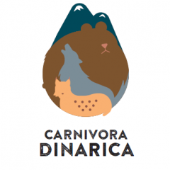 Carnivora Dinarica
