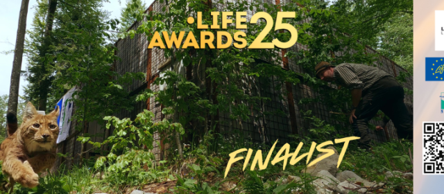 LIFE Lynx is the finalist for LIFE Award 2025
