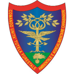 Arma dei carabinieri (CUFAA/CFS)